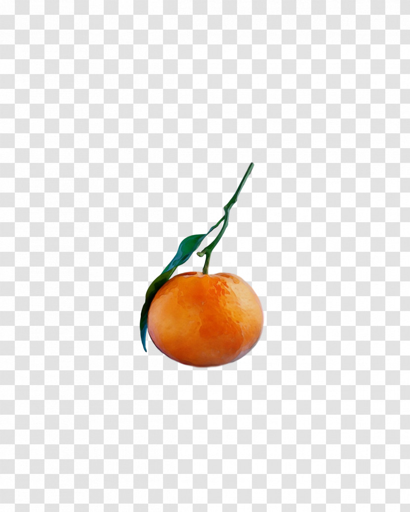 Orange Transparent PNG