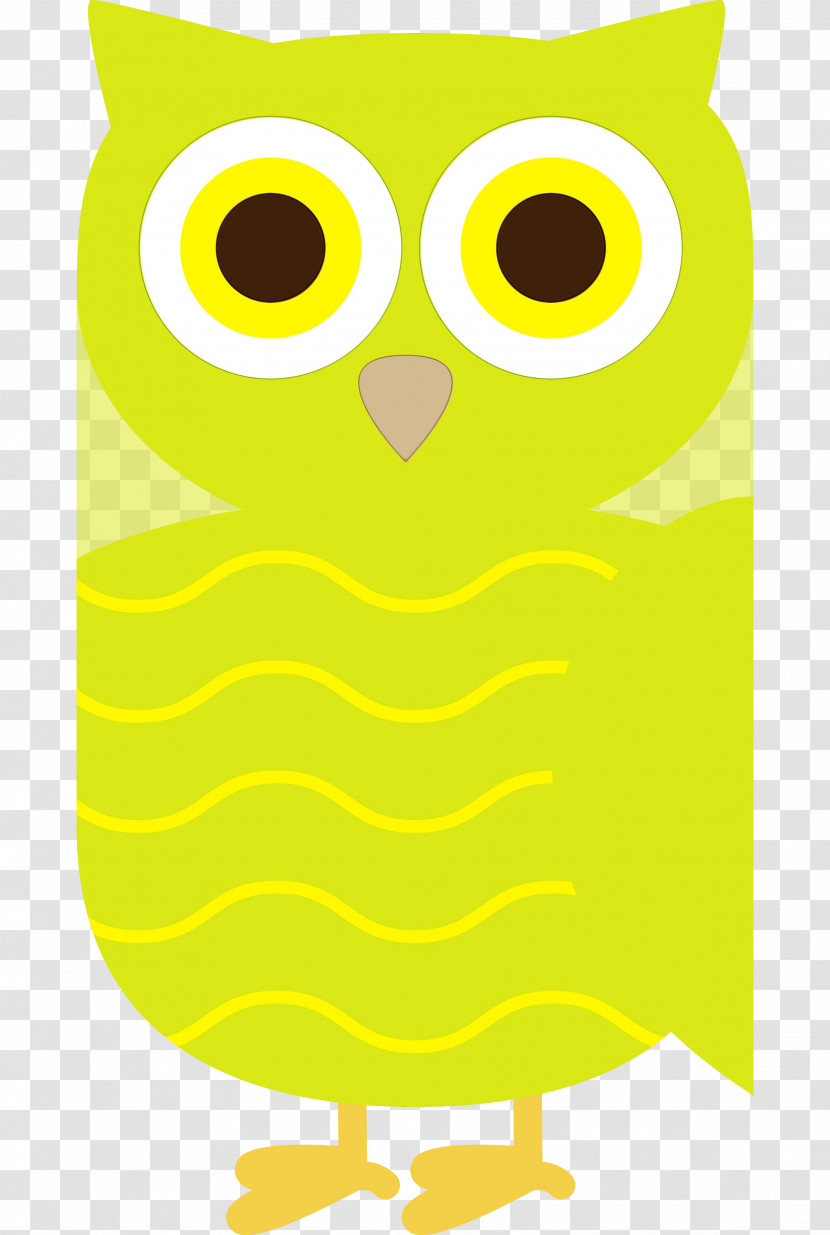 Owl M Yellow Meter Beak Area Transparent PNG
