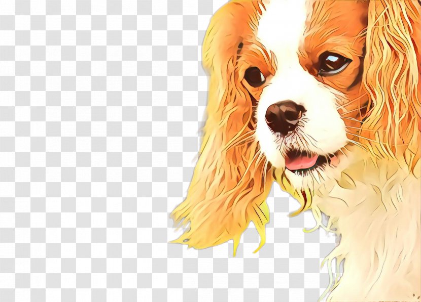Mountain Cartoon - King Charles Spaniel - Puppy Love Toy Dog Transparent PNG