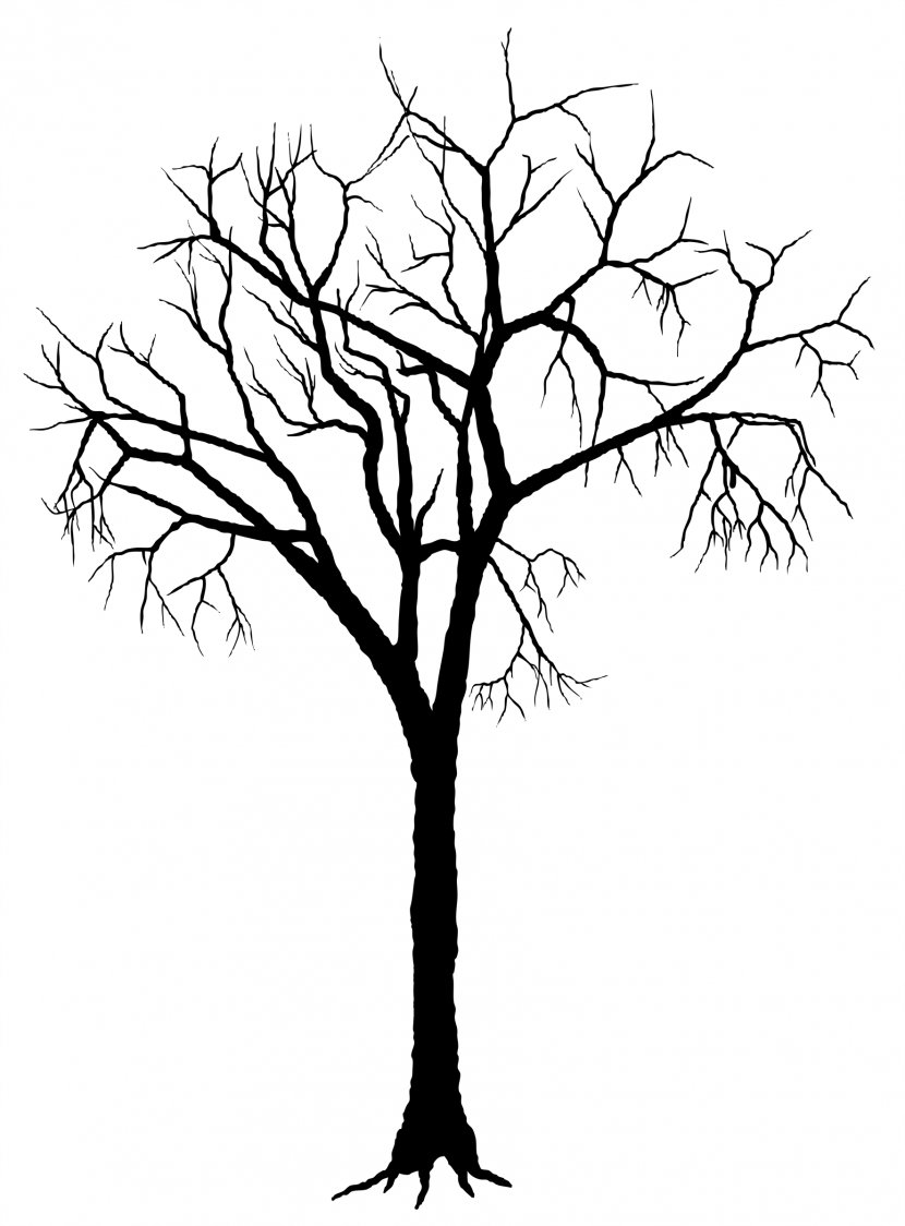 Tree Silhouette Deciduous Clip Art - Royaltyfree - Free Transparent PNG