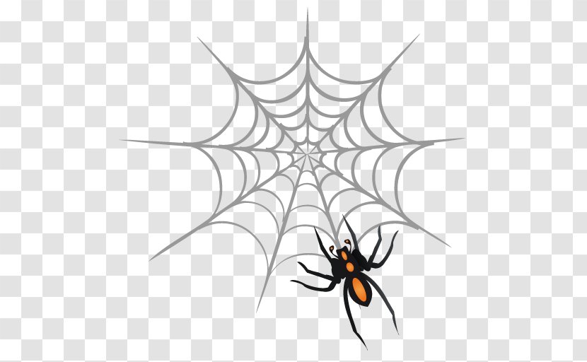 Spider Web Drawing - Line Art - Spin Fishing Transparent PNG