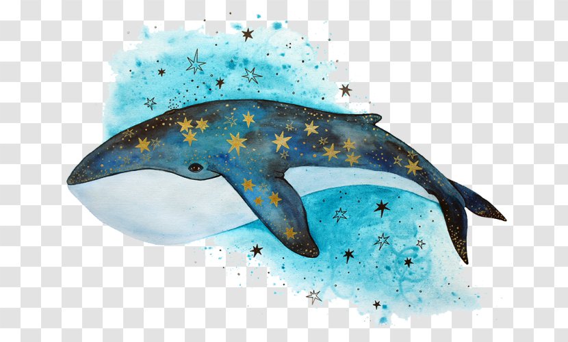Cetacea Drawing Killer Whale Humpback Watching - Marine Mammal - Blue Transparent PNG