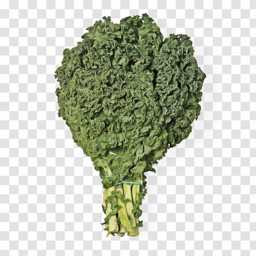 Leaf Vegetable Broccoli Cruciferous Vegetables Plant - Wild Cabbage Flower Transparent PNG
