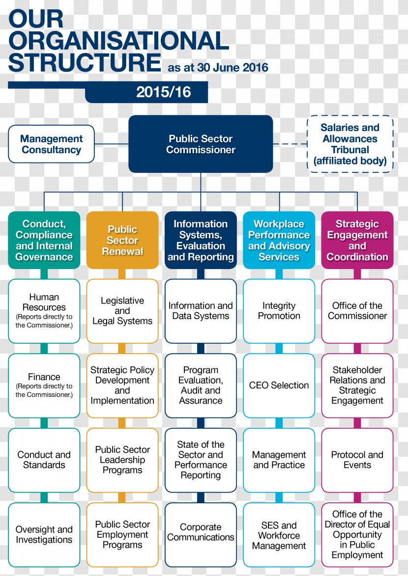 Organizational Structure Management Public Sector Chart - Human Resource - South East Coast Ambulance Service Transparent PNG