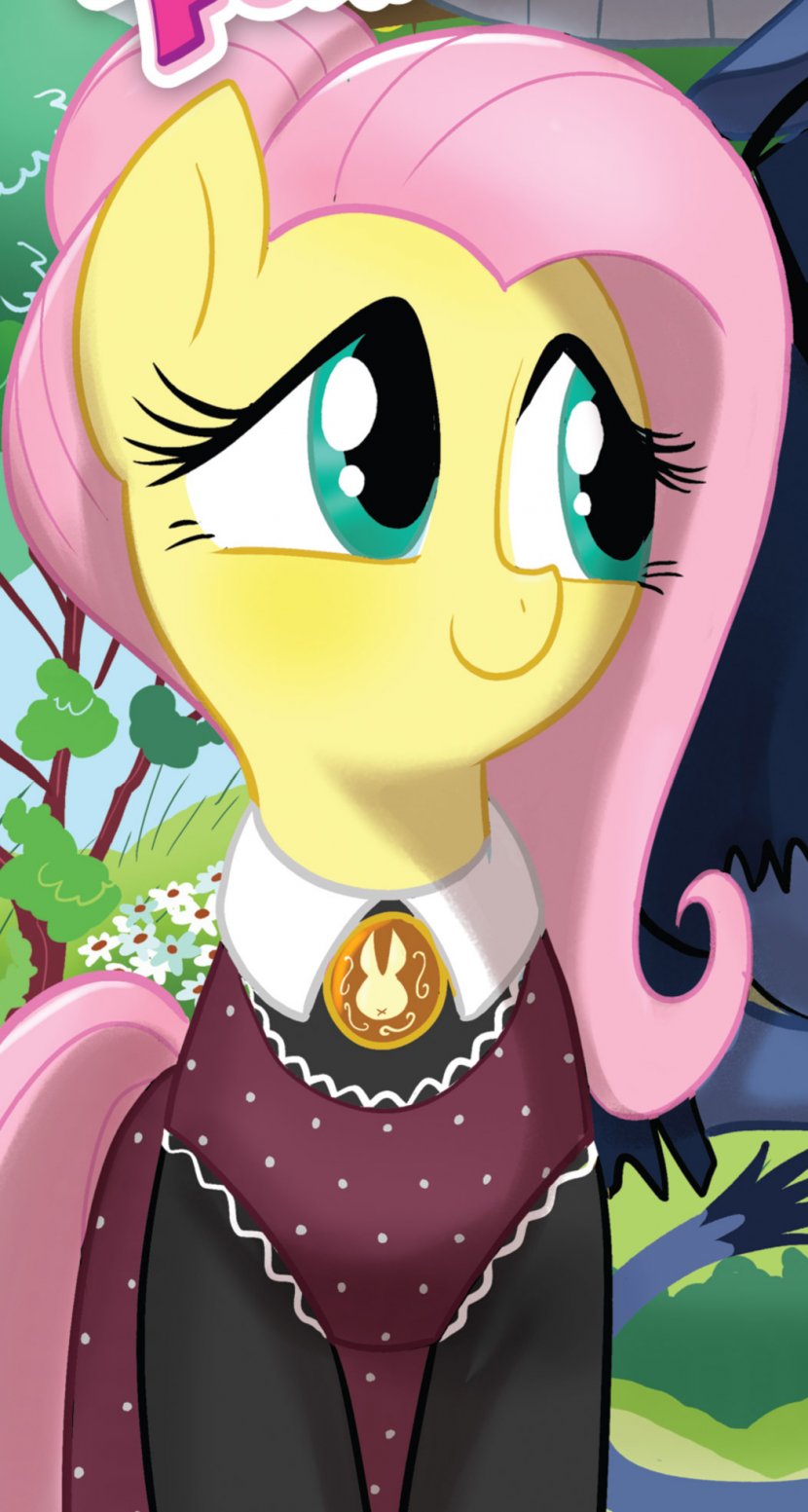 My Little Pony Friends Forever Rarity Rainbow Dash Fluttershy - Watercolor - American Gothic Cliparts Transparent PNG