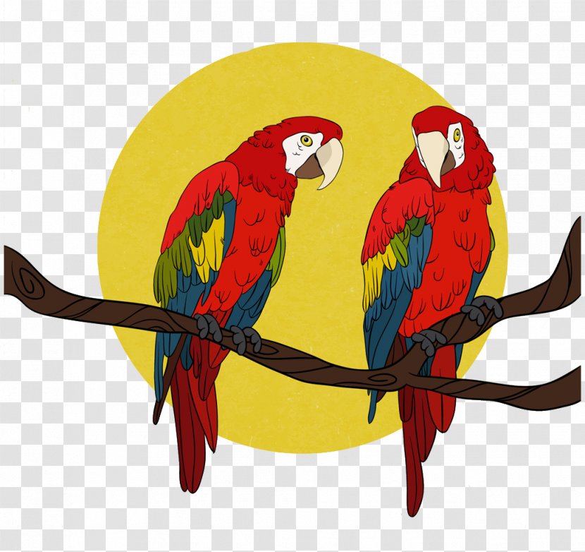 Bird True Parrot Euclidean Vector Macaw Companion - Painted Transparent PNG