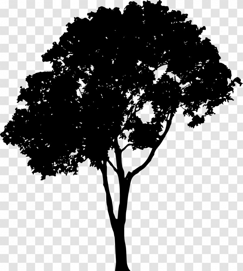 Tree Silhouette Clip Art - Black And White - Vector Transparent PNG