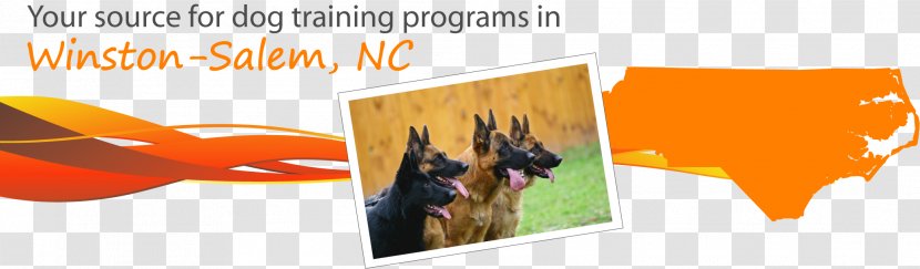 Dog Training Winston-Salem Veterinarian - Police Transparent PNG