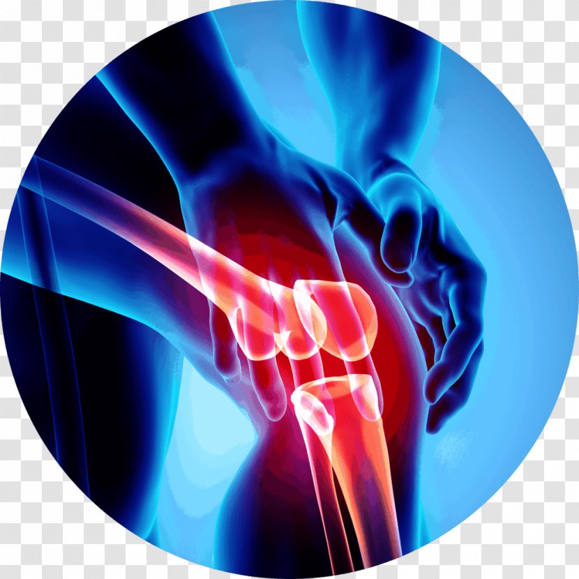 Knee Pain Shoulder - Neck - Symbol Human Anatomy Transparent PNG
