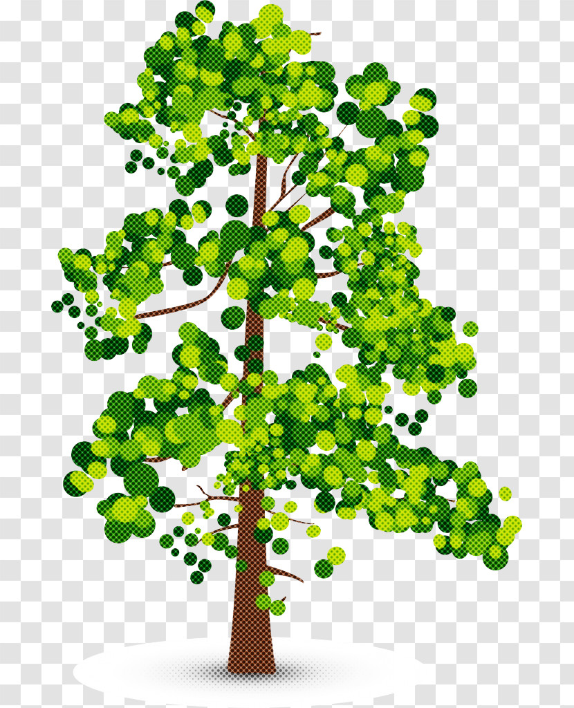 Plant Tree Green Flower Leaf Transparent PNG