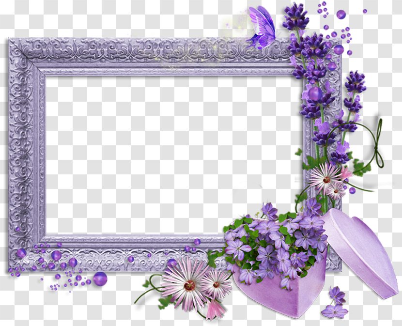 Picture Frames Flower Photography Transparent PNG