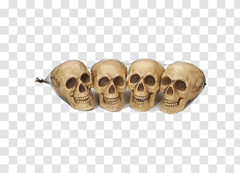 Skull - Bone Transparent PNG