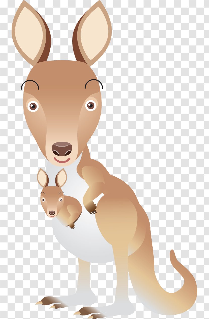 Musky Rat-kangaroo Mammals Of Australia Clip Art - Horse - Kangaroo Transparent PNG