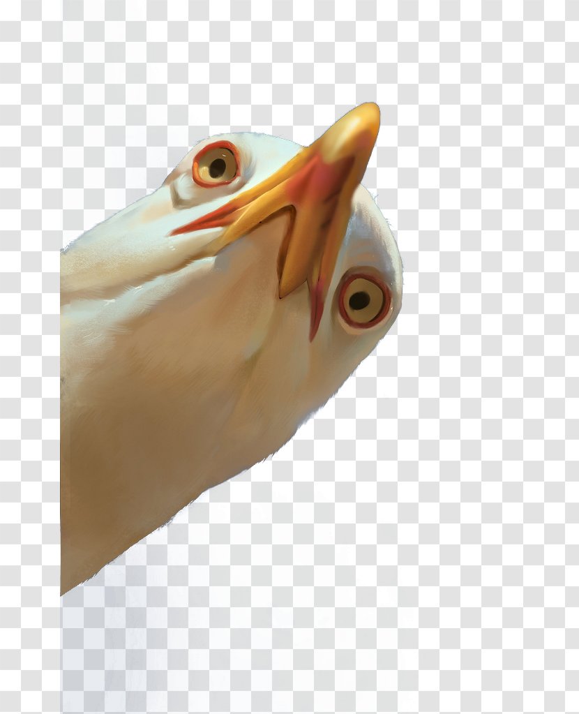 Bird Gulls - Finger - Meng Birds Transparent PNG