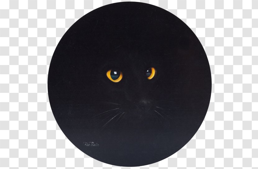 Whiskers Cat Snout Black M Transparent PNG