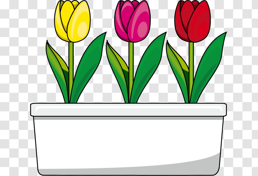 Tulip Cut Flowers Clip Art - Seed Plant Transparent PNG