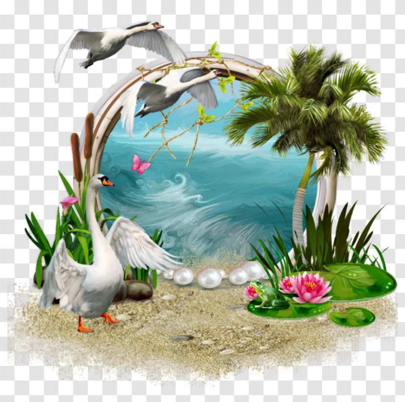 Blog Clip Art - Bird - Cover Transparent PNG