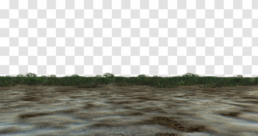 Swamp Soil Wetland - Plain Transparent PNG
