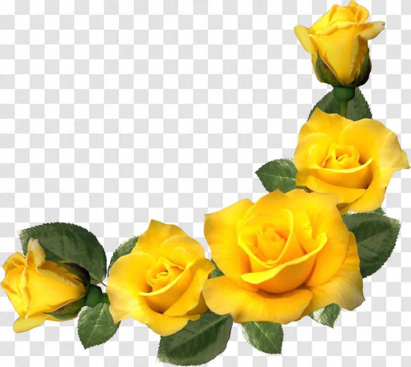 Picture Frames Yellow Rose Flower Clip Art - Stock Photography Transparent PNG