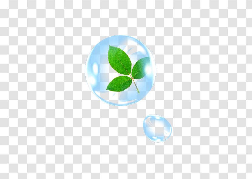 Leaf Drop Water Wallpaper - Computer - Drops Transparent PNG