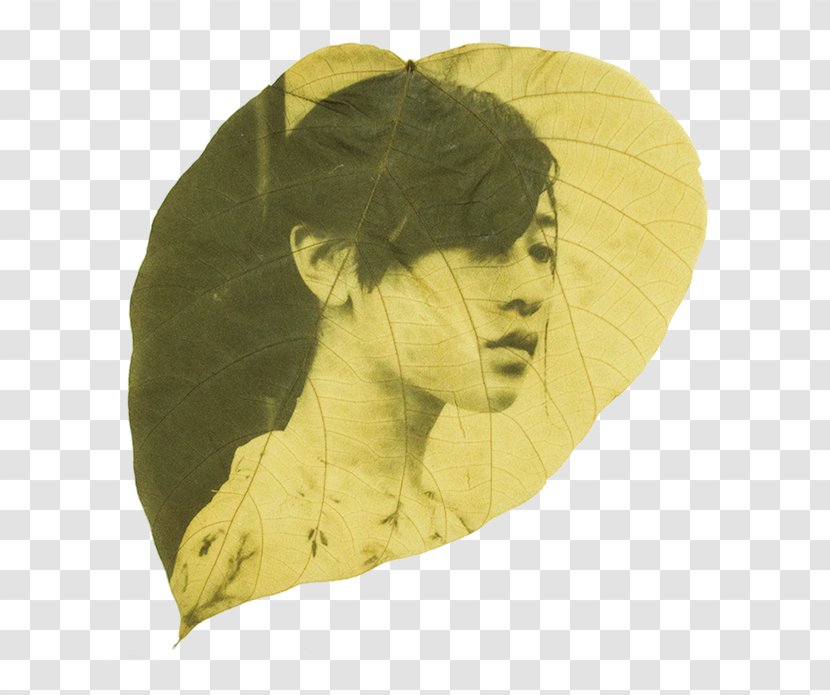 Chiba 写真作家 Photography Leaf Artist - Headgear Transparent PNG