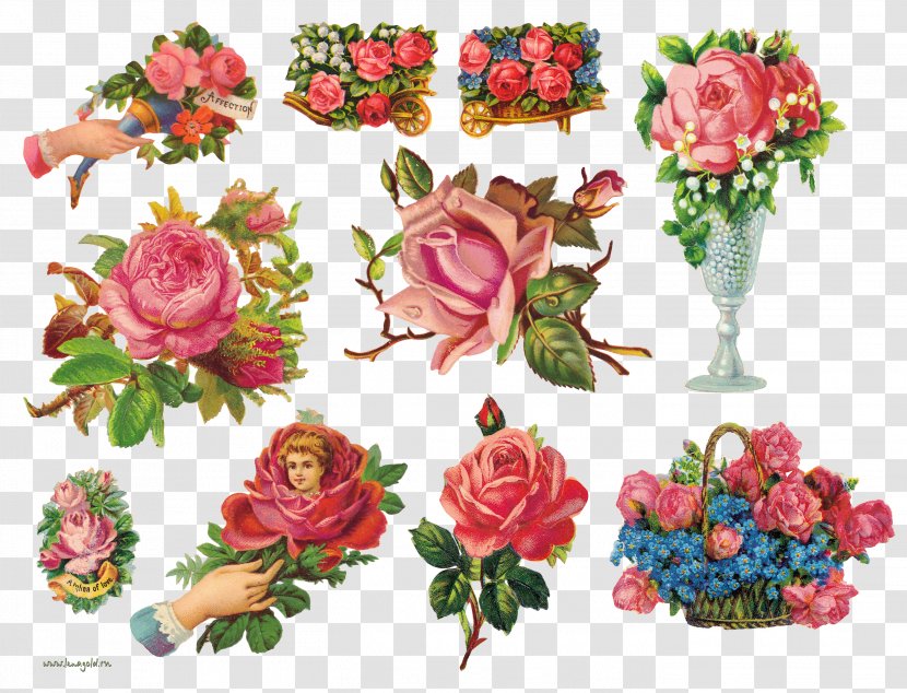 Garden Roses Floral Design Flower Clip Art - Artificial Transparent PNG