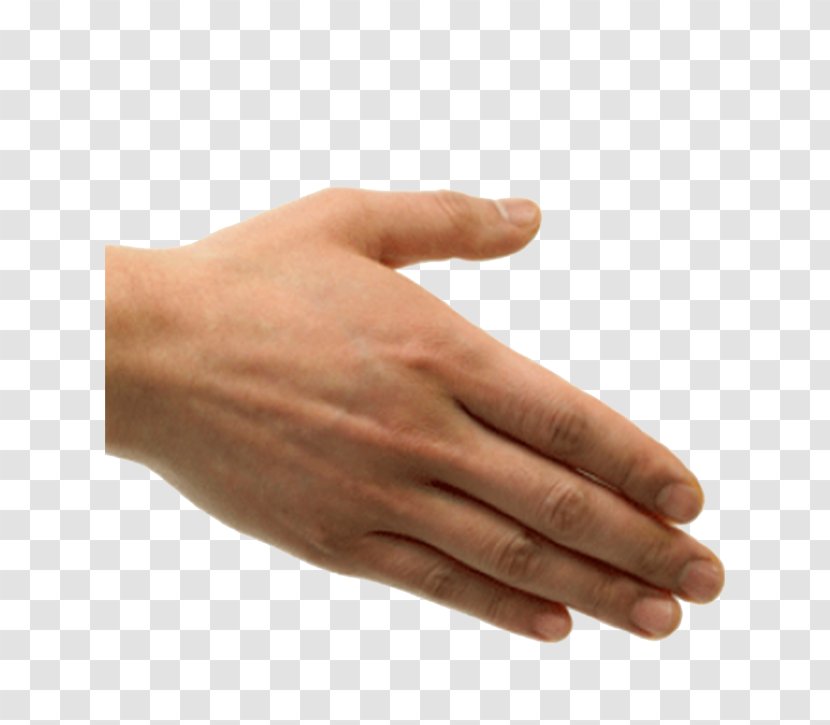 Handshake Etiquette Clip Art - Hand Transparent PNG