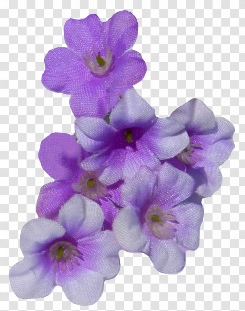 Moth Orchids - Violet - Family Transparent PNG