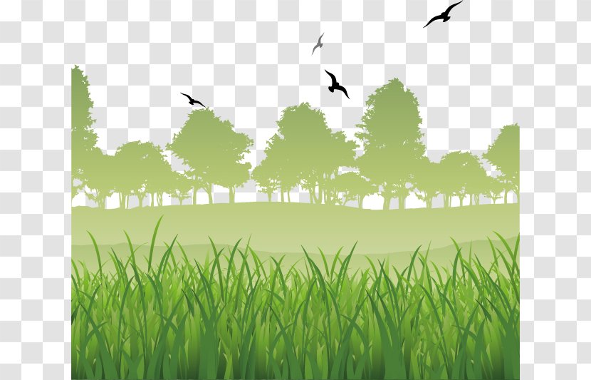 Loei Province Metro Forest PTT Public Company Limited Service Food - Biome - Green Grass Natural Scenery Vector Material Transparent PNG