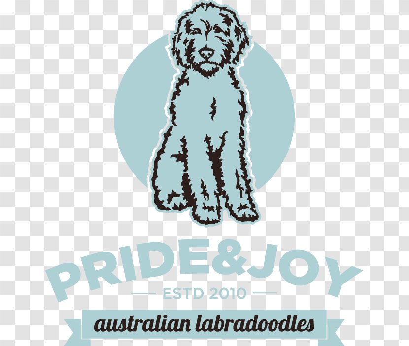 Labradoodle Goldendoodle Labrador Retriever Golden Puppy - Doodle Transparent PNG