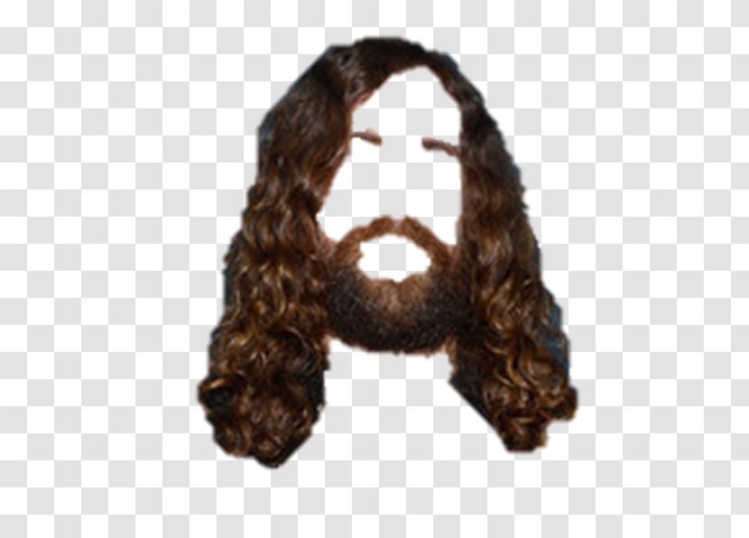Wig Hairstyle - Facial Hair - Hairs Transparent PNG
