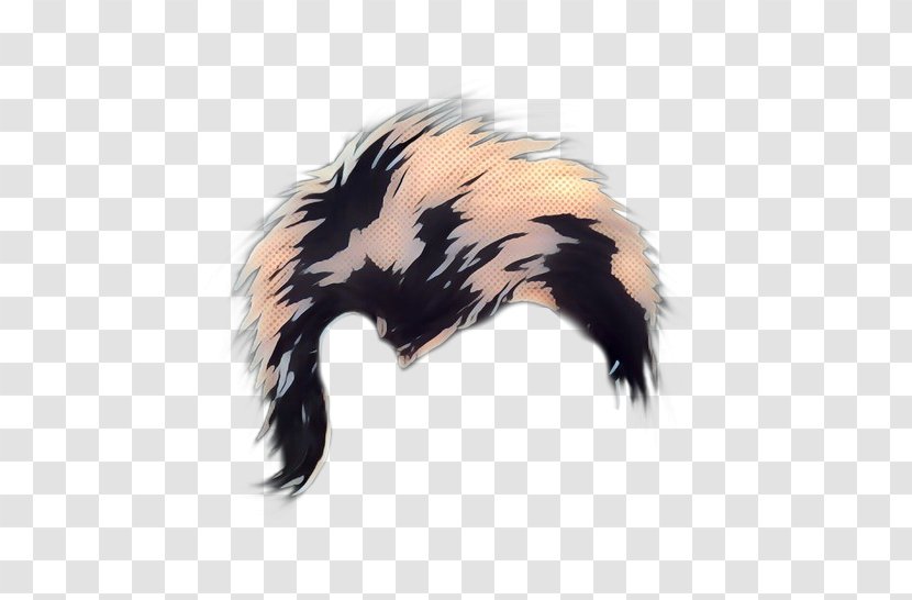 Fur Striped Skunk - Feather - Ear Transparent PNG