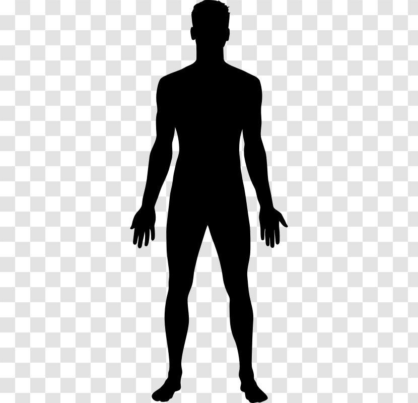 Homo Sapiens Clip Art - Standing - Man Shape Transparent PNG