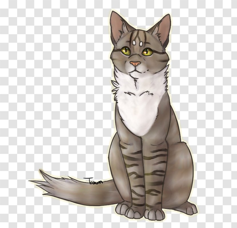 American Shorthair European Wirehair Whiskers Kitten - Domestic Shorthaired Cat Transparent PNG