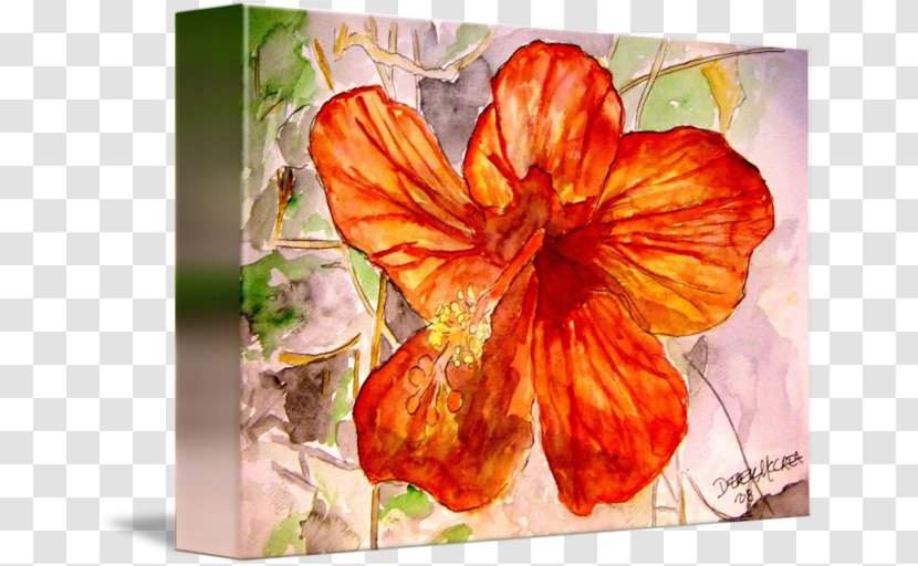 Hibiscus Gallery Wrap Canvas Painting Art Transparent PNG