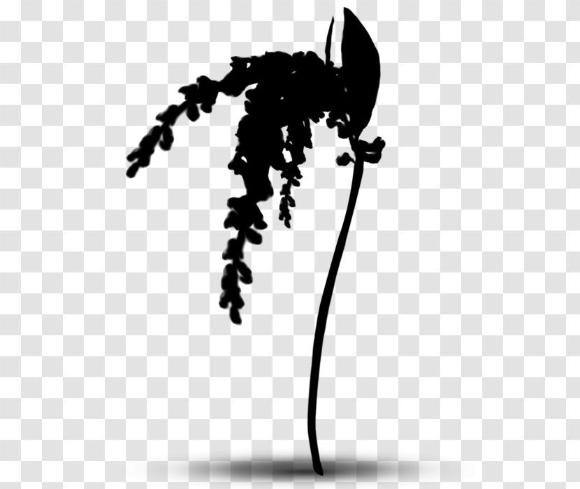 Black & White - Tree - M Clip Art Silhouette Line Transparent PNG