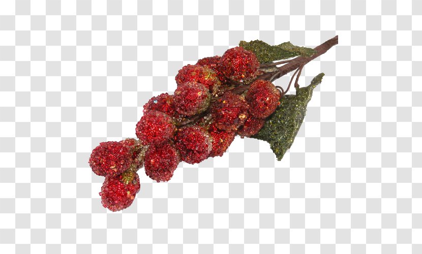 Loganberry Centerblog Tayberry Pink Peppercorn - Red Mulberry - Christmas Flower Transparent PNG