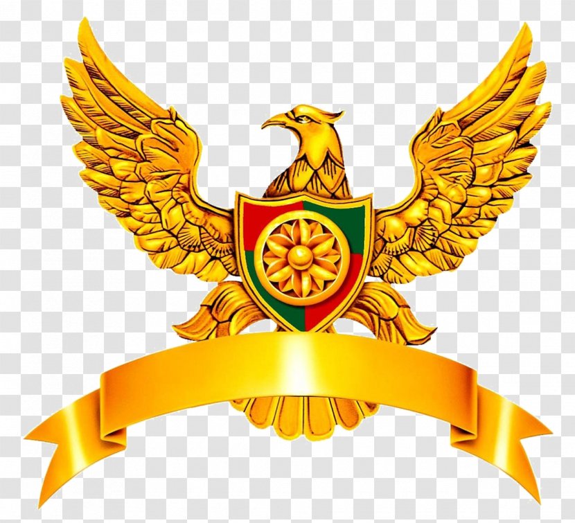 Eagle Icon - Logo - International Golden Transparent PNG