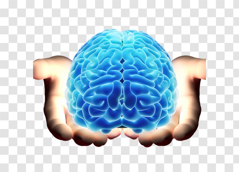 Neurology Brain Mind Neurosurgery - Cartoon Transparent PNG