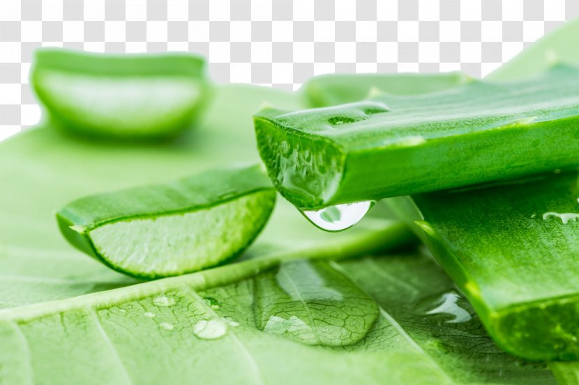 Aloe Vera Skin Nutrient Neck Inflammation - Cartoon Transparent PNG