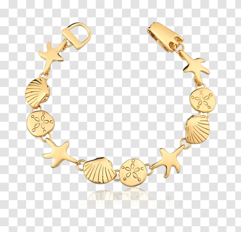 Bracelet Earring Necklace Seashell Gold - Sand Dollar Transparent PNG
