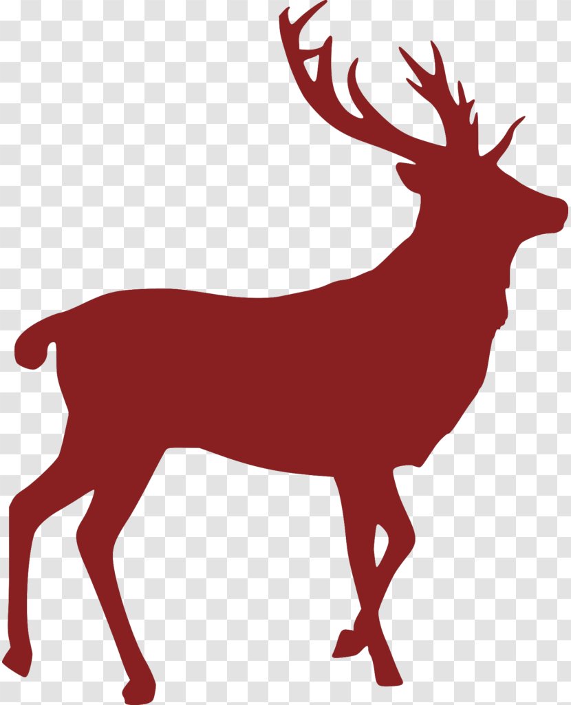White-tailed Deer Elk Red - Hunting - Black Speaks Transparent PNG