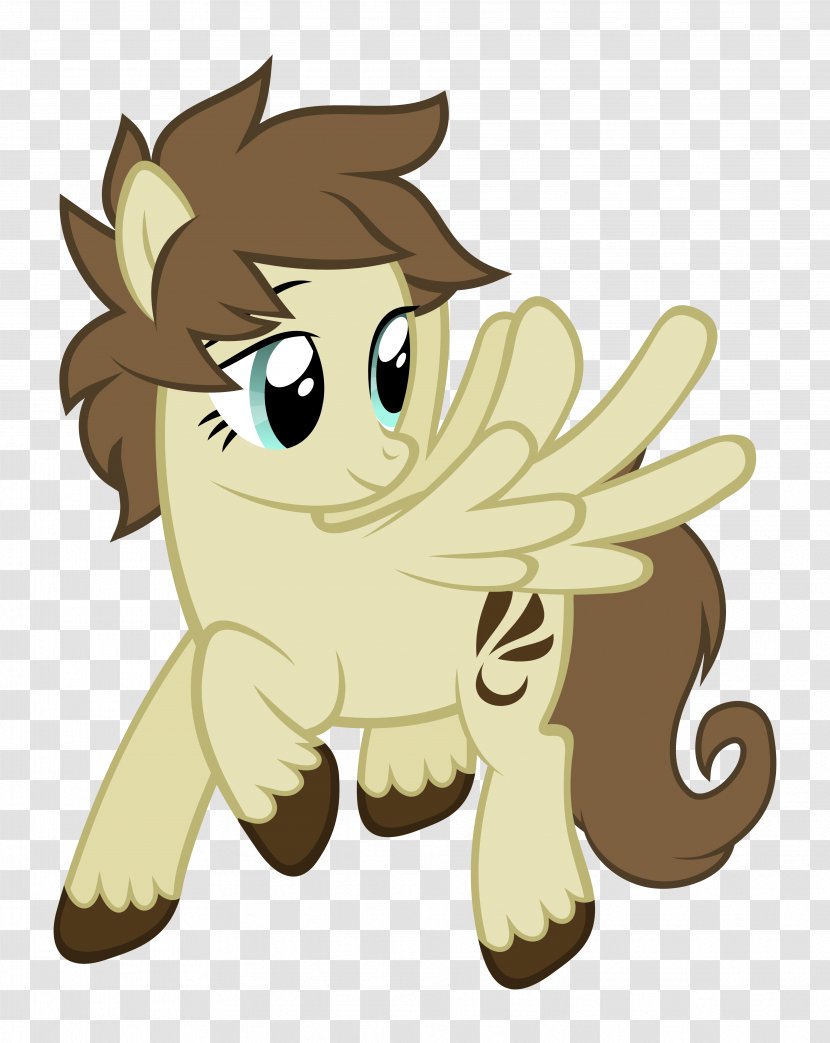 Cat Horse Pony Dog - Flower - Feather Fan Transparent PNG