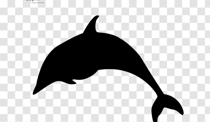 Whale Cartoon - Porpoise - Whitebeaked Dolphin Tail Transparent PNG