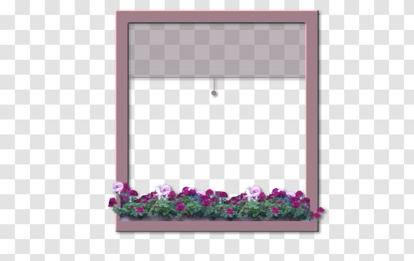 Picture Frames Window Lavender Lilac - Frame Transparent PNG