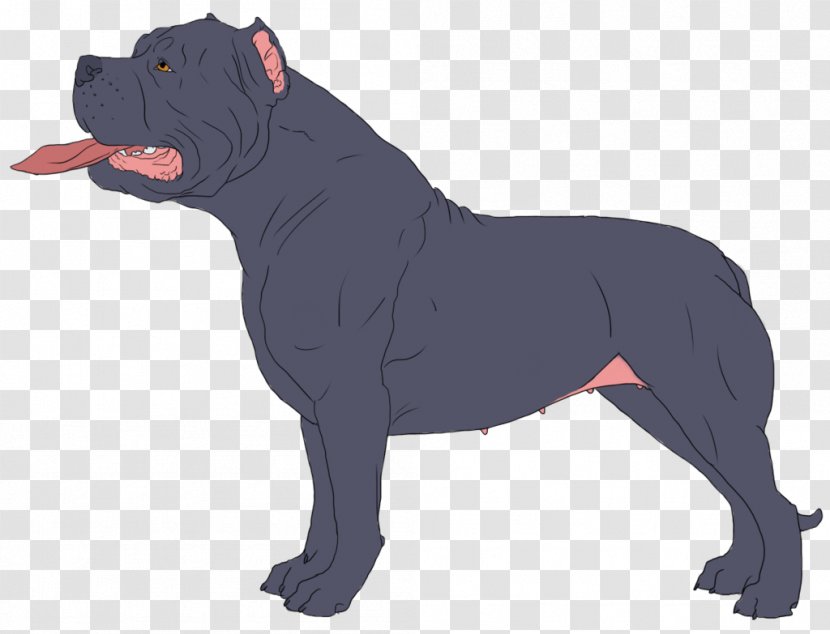 Dog Breed Staffordshire Bull Terrier Non-sporting Group (dog) - Crop Top - Physical Bullying Charts Transparent PNG