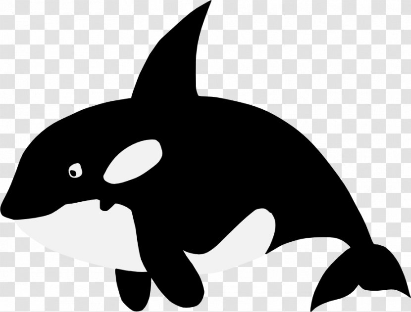 Baby Whale Killer Cetaceans Clip Art - Dolphin Transparent PNG