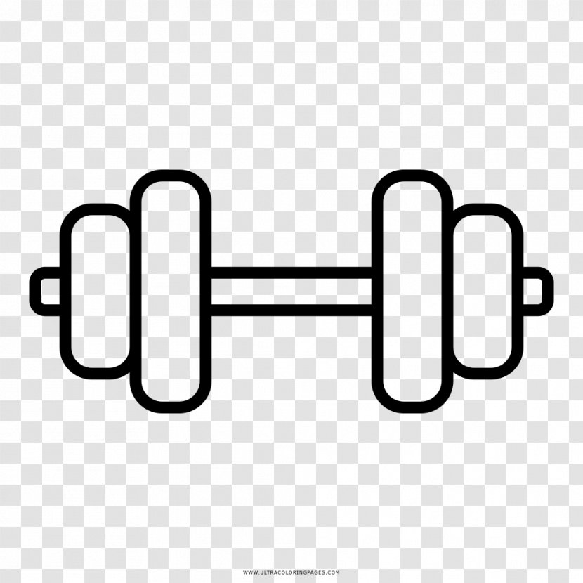 Dumbbell Barbell Olympic Weightlifting Physical Fitness Exercise - Text - Hantel Transparent PNG