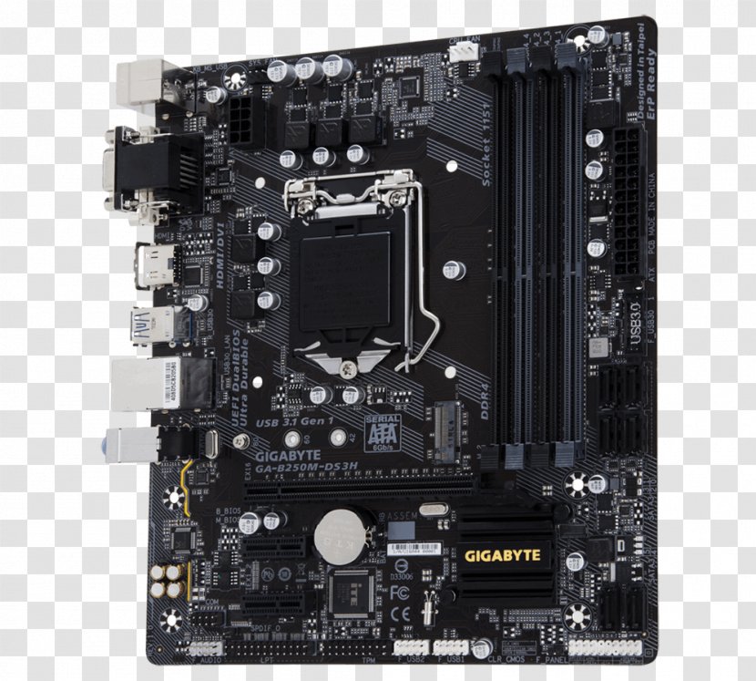 Intel LGA 1151 Motherboard GIGABYTE GA-B250M-DS3H Gigabyte Technology - Computer Hardware Transparent PNG