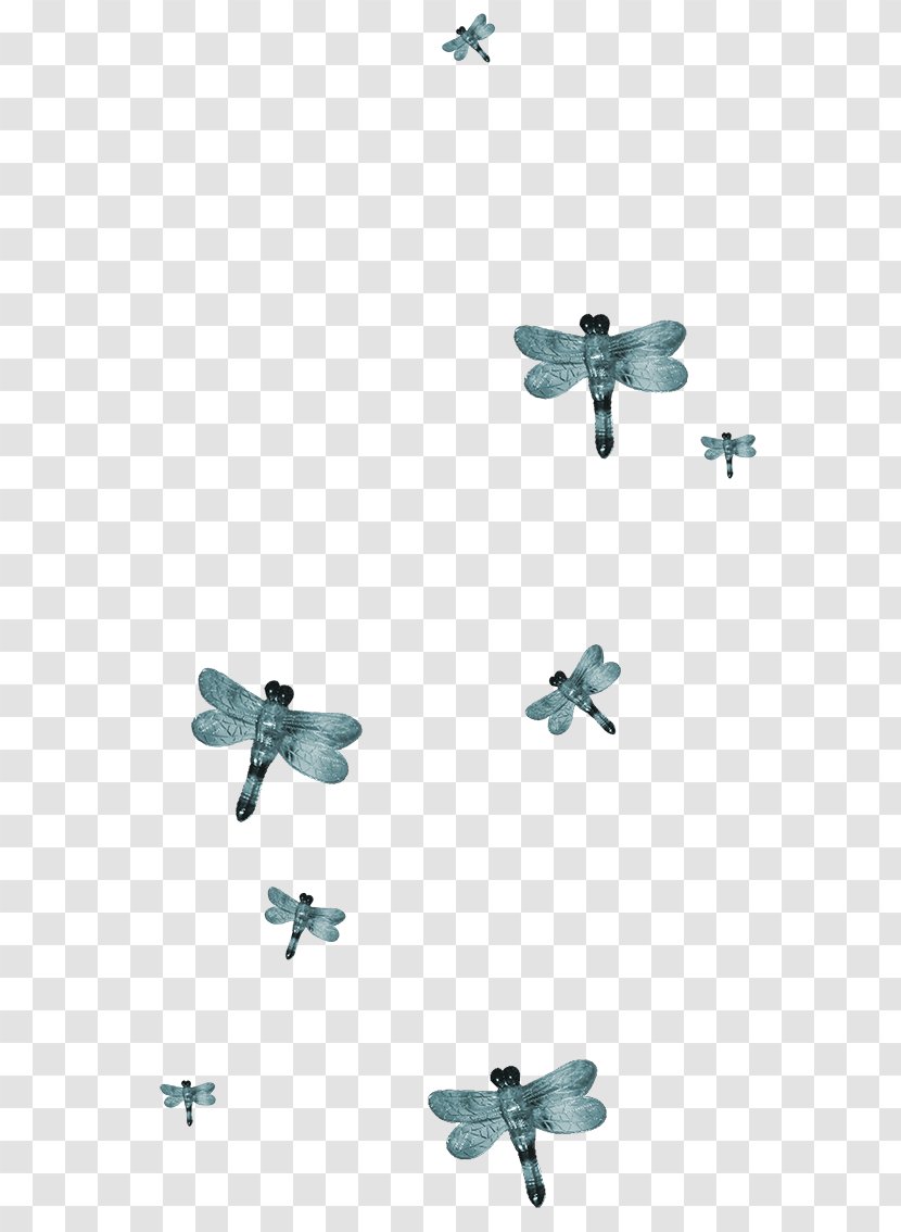 Insect Butterfly - Dragonfly - Decorative Material Transparent PNG